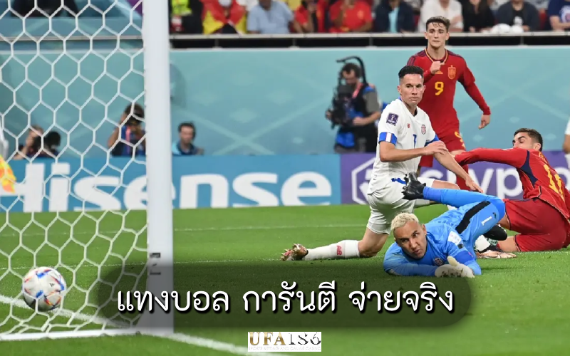 แทงบอล การันตี จ่ายจริง